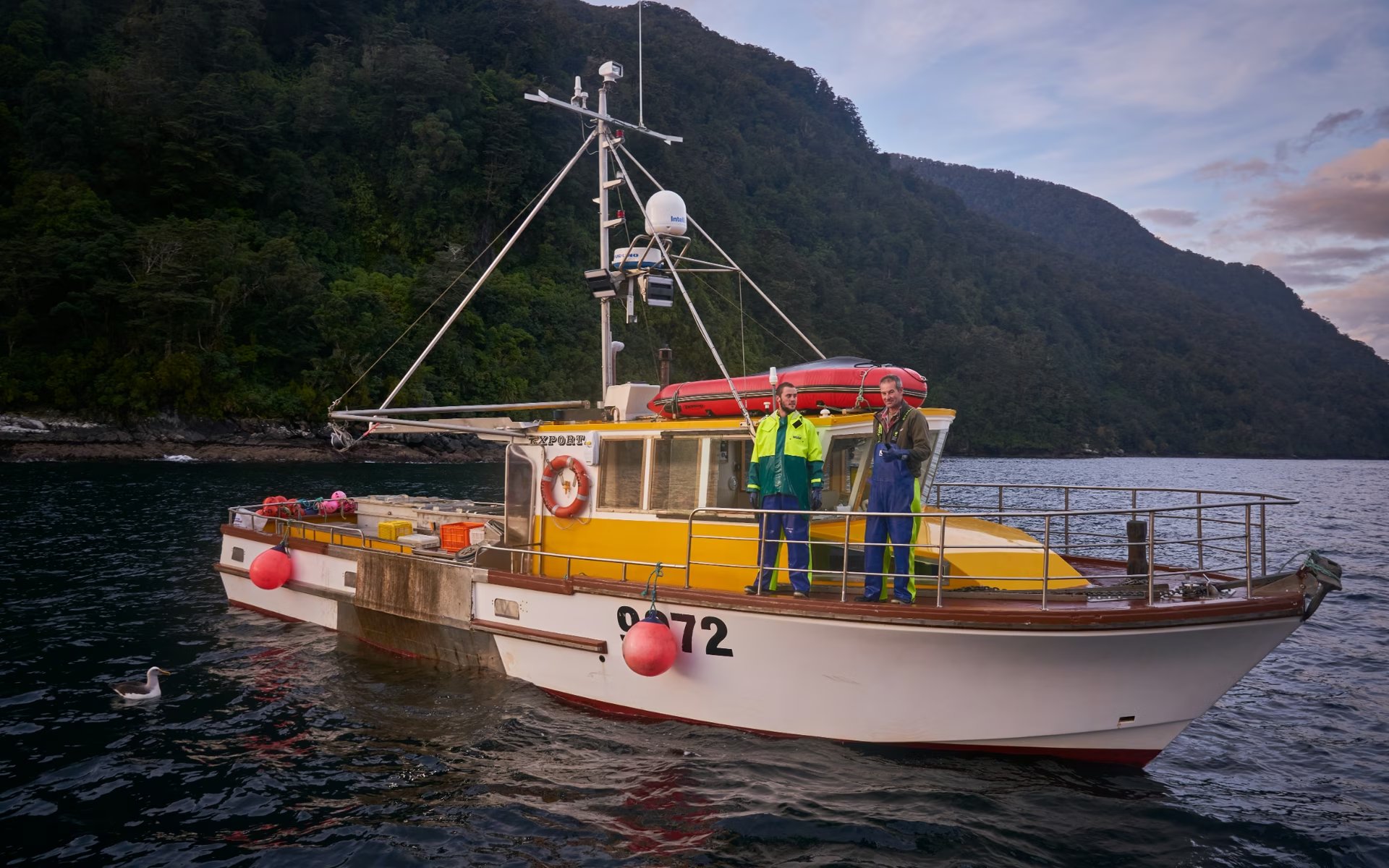 Fishing vessel in Fiordland waters