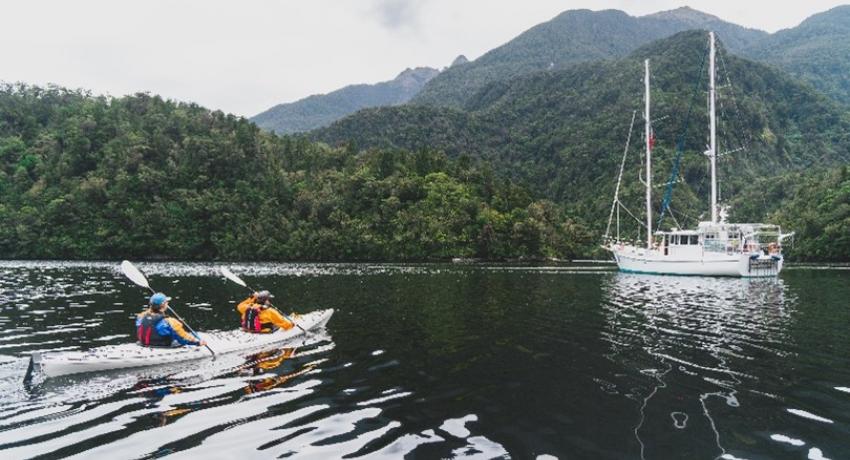 Fiordland user surveys