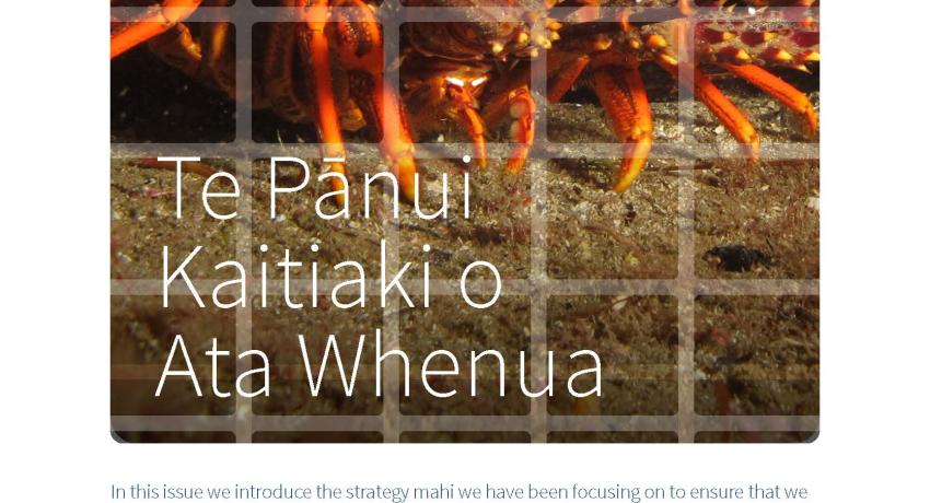 FMG Newsletter June 2025